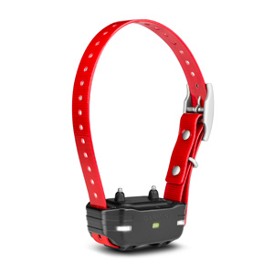 PT 10 Dog Device Red Collar (Pro 70/PRO 500)