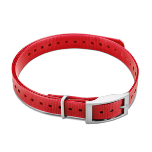 3/4-inch Collar Straps Square Buckle Red 