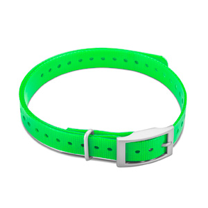 3/4-inch Collar Straps Square Buckle Green 