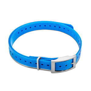 3/4-inch Collar Straps Square Buckle Blue