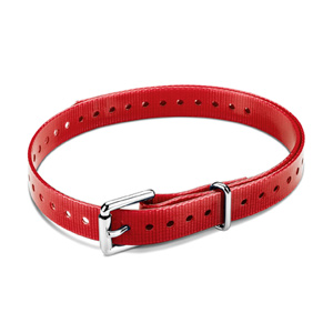 3/4-inch Collar Straps Roller Buckle Red 