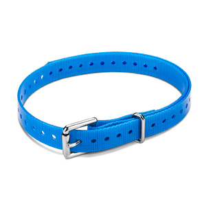 3/4-inch Collar Straps Roller Buckle Blue 