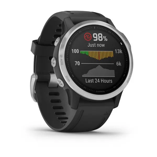fenix® 6S – Standard Edition