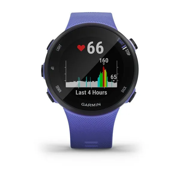 Forerunner® 45S Iris