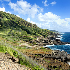 cityXplorer North America Honolulu, HI