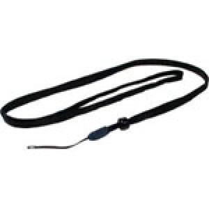 Lanyard